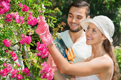 Stump grinding and tree removal service in Hanworth
