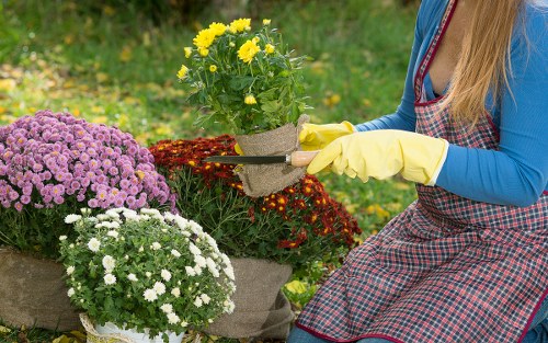 Reporting channels and worker safeguarding in gardening services