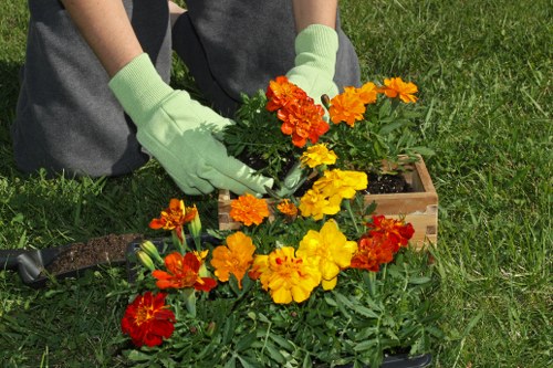 Follow-up review for a gardening service complaint