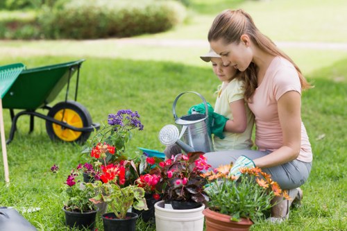 Local Hanworth lawn maintenance showing turf treatment and tidy garden care