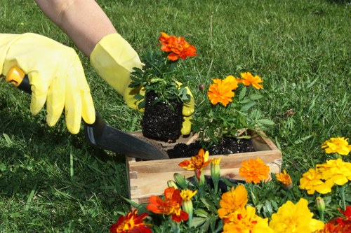 Seasonal garden upkeep and pruning services in Hanworth