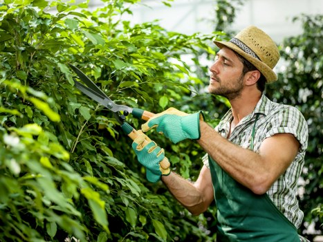 Health and safety practices for a reliable garden service
