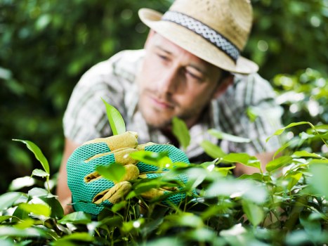 Reviewing a gardeners complaint carefully