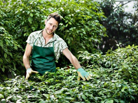 Gardeners Hanworth delivering reliable garden maintenance and landscaping support