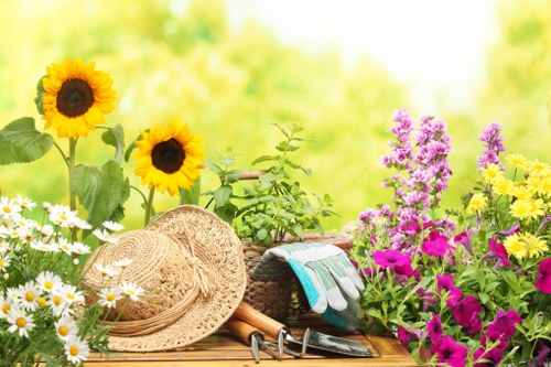 Professional gardening safety management in progress