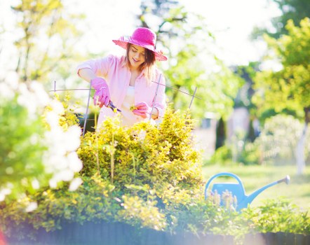 Even lawn mowing service for residential gardens in Hanworth
