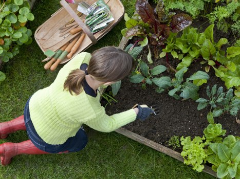 Soft landscaping in Hanworth with flowers, lawn, and hedging