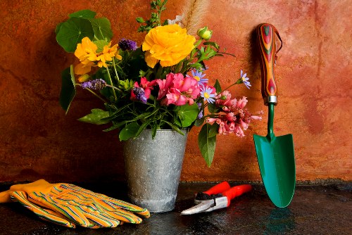 Marketing cookies and user preference controls for Gardeners Hanworth
