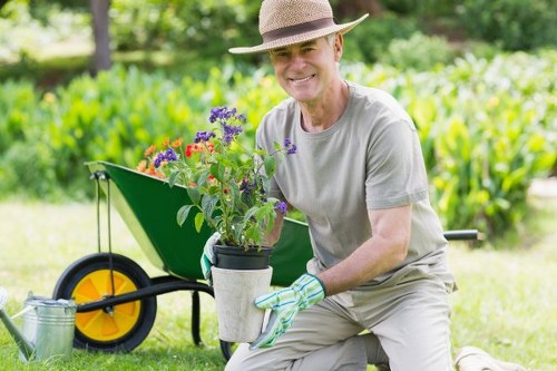 Hanworth lawn and border care by skilled gardeners