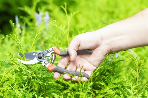 Garden maintenance in Hanworth including patio cleaning and weed control