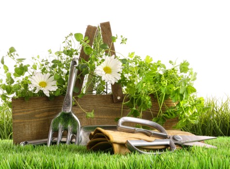 Regular garden maintenance work in Hanworth on shrubs and flower borders