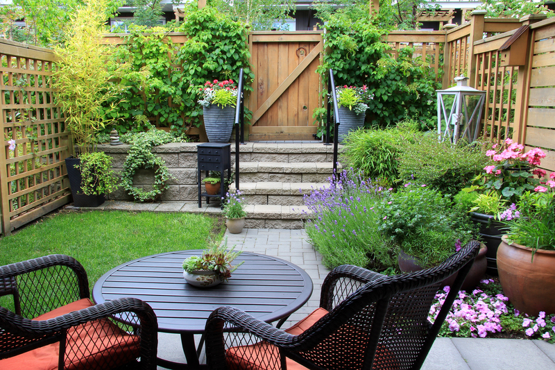yard backyard