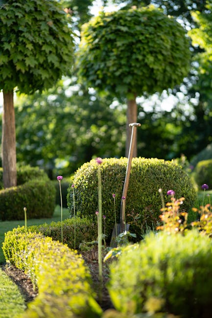 A well-maintained garden scene featuring neatly trimmed hedges and a small, floral border with purple flowers. Two trees with rounded, green foliage are visible in the background, casting shade over t